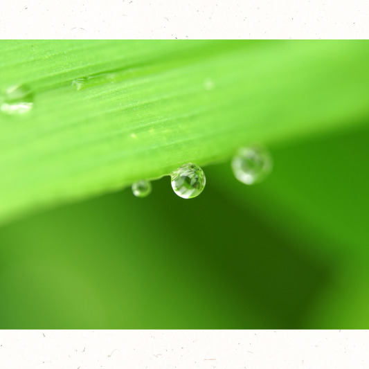 토란국 제철 음식