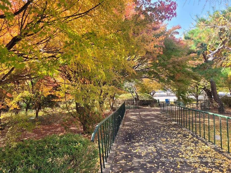 형형색색 단풍으로 물든 한적한 길