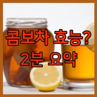 콤부차 효능_5