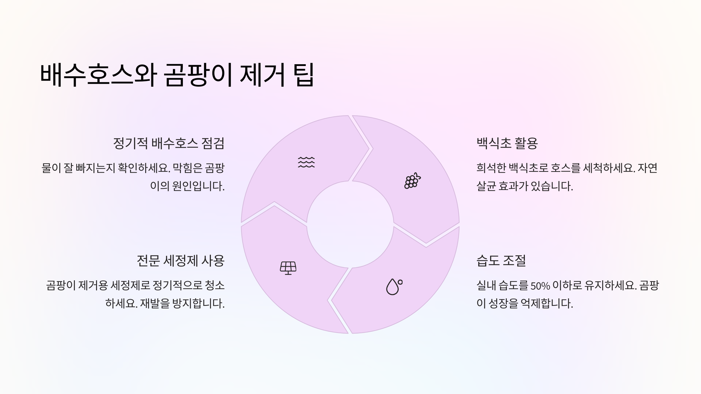 배수호스와 곰팡이 제거 팁