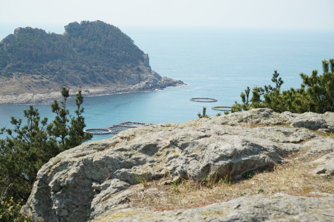 가을 섬^ 교동도, 대부도, 금오도, 조도, 추자도, 5개의 섬 여행