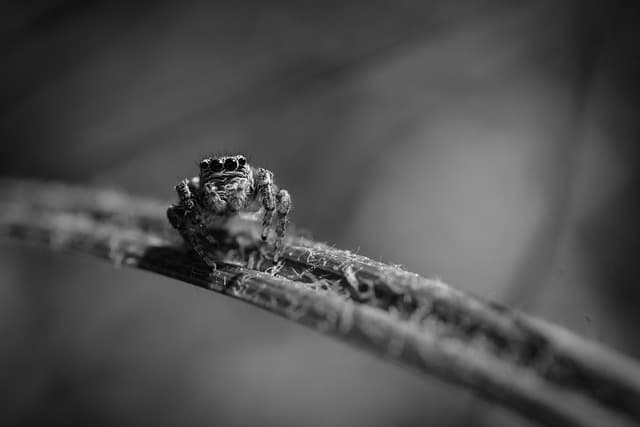 콩, 조류, 곤충: 대체 단백질의 경쟁 구도