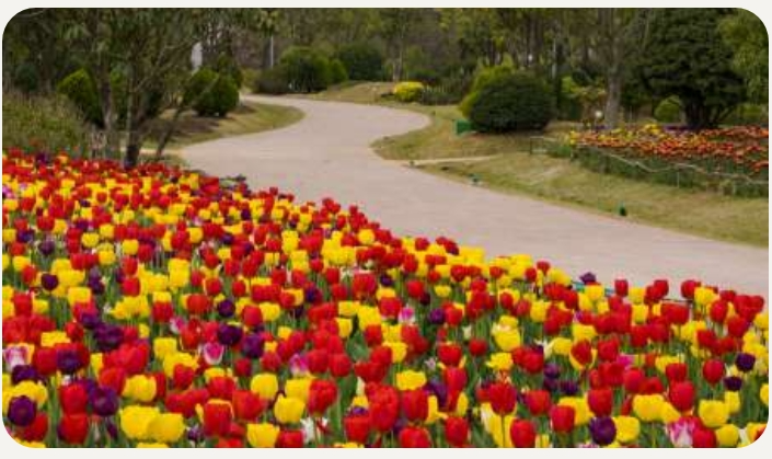2025 괴산 빨간맛 페스티벌 전체 일정 한눈에 보기❘일정표, 가이드 지도 및 프로그램 사전 예약 안내