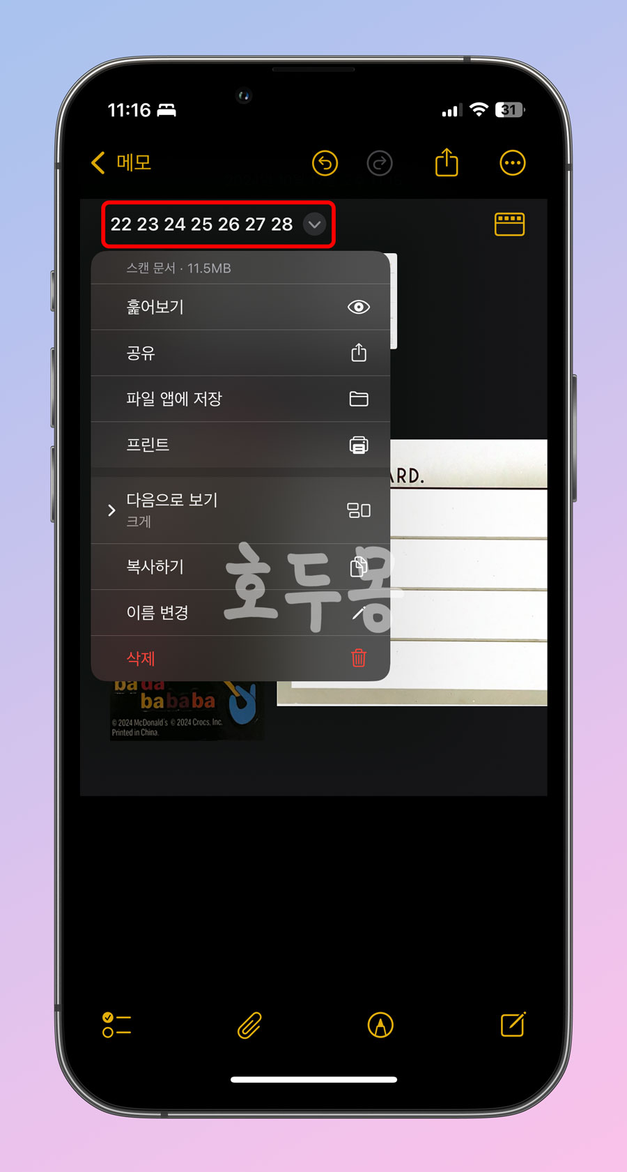 스캔 문서 옵션