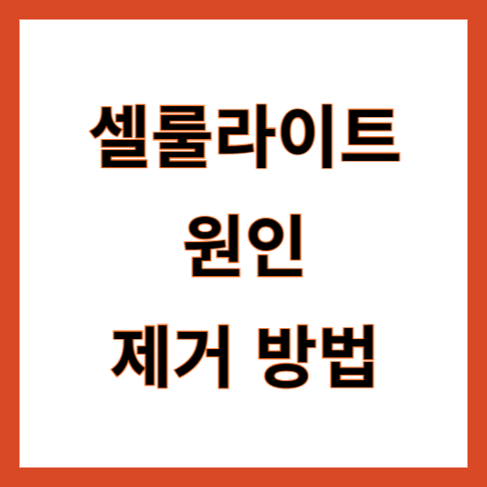 셀룰라이트 원인 제거방법