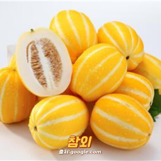 참외