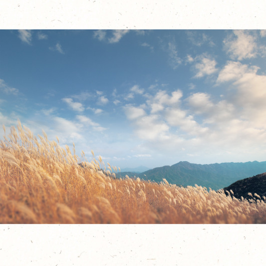 가을에 먹는 제철 요리