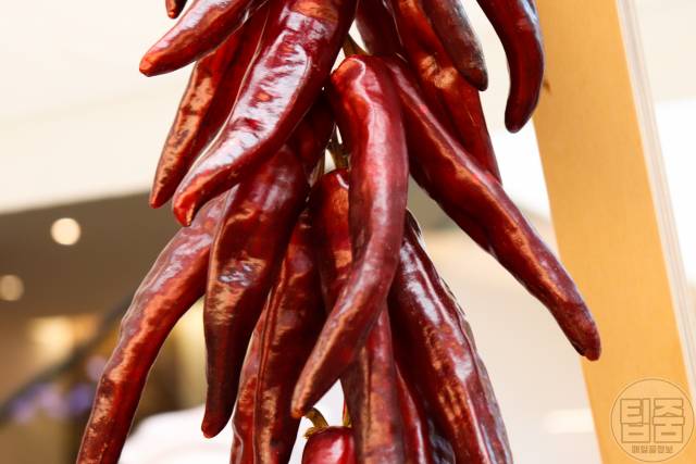 입안 데었을때 뜨거운거 입천장 고추