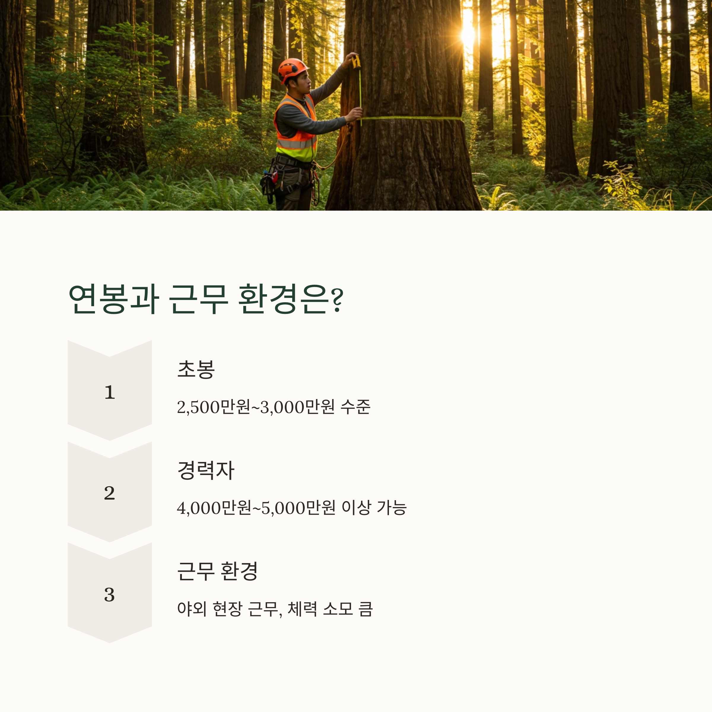 산림기능사의 연봉과 근무 환경