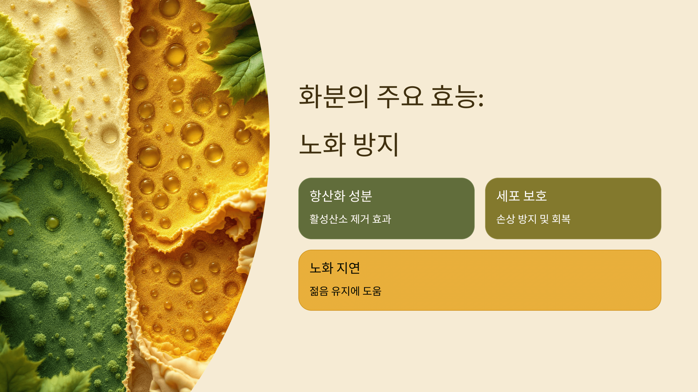 화분 사진입니다.