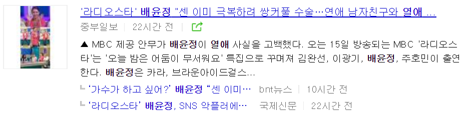 배윤정 이혼 성형