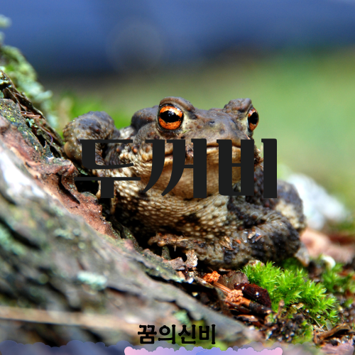 썸네일 사진