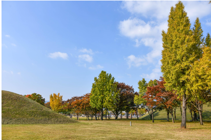 천마총 발굴과 출토 유물의 역사적 가치