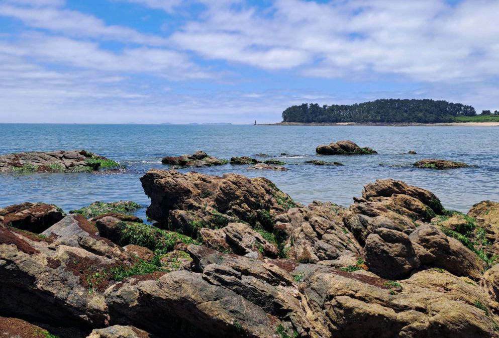 보령 가볼만한곳 베스트10 무창포해수욕장