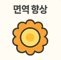 마그네슘 효능