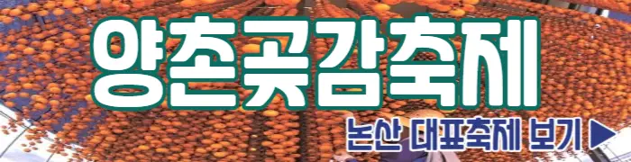 양촌 곶감축제 논산 축제 보기