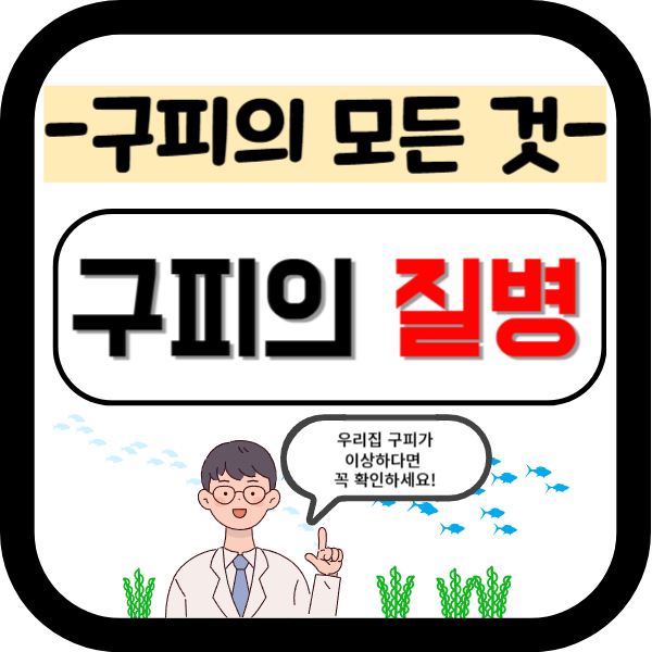 구피 질병 증상(백점병, 마우스펑기, 솔방울병 등)
