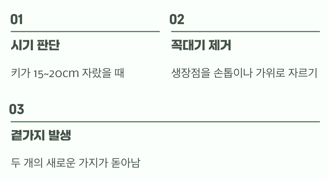 풍성한 수확을 위한 약속, '순지르기'