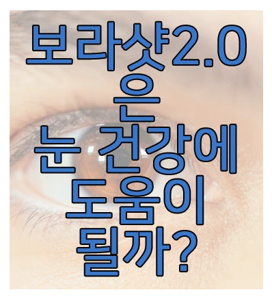 보라샷에 관한 글 보러 가기 링크 사진