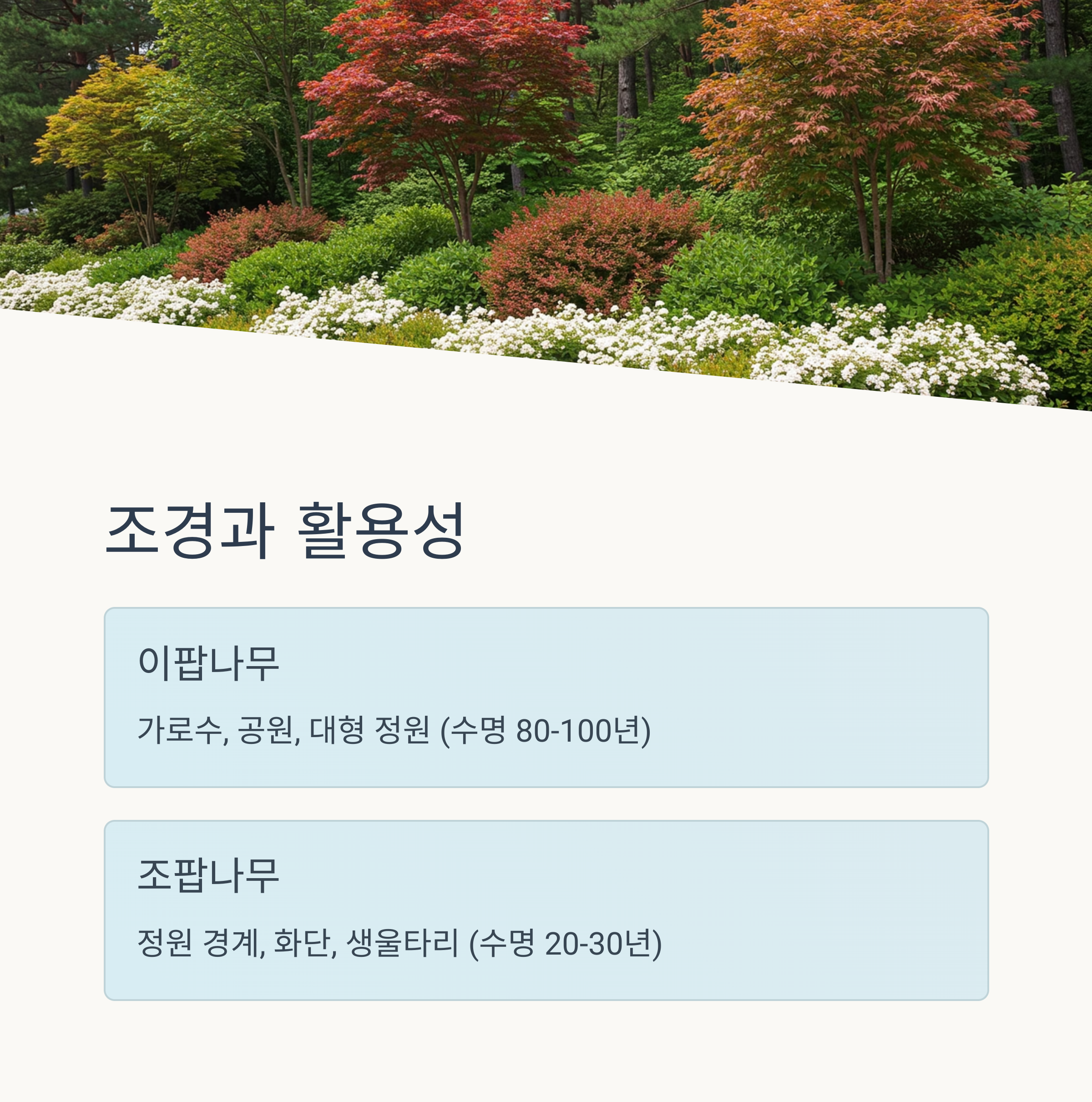조경과 활용성 차이