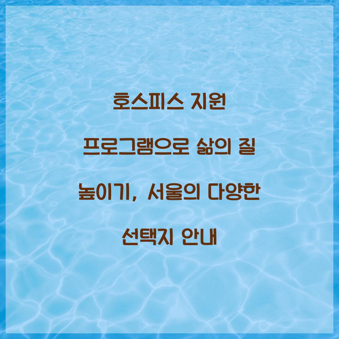 호스피스 지원 프로그램