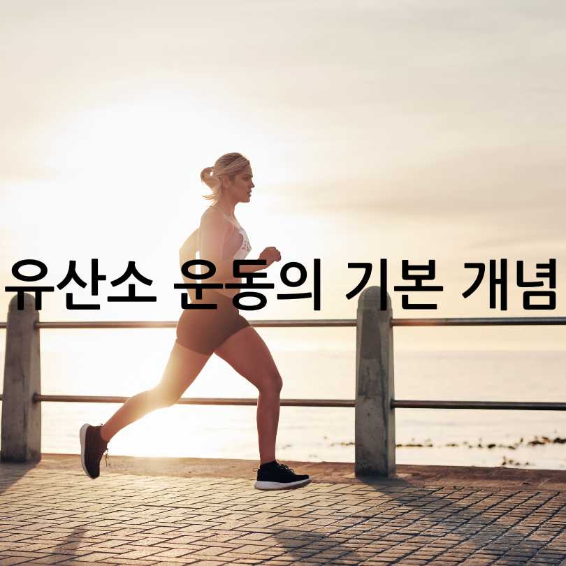 아침 공복 유산소 운동