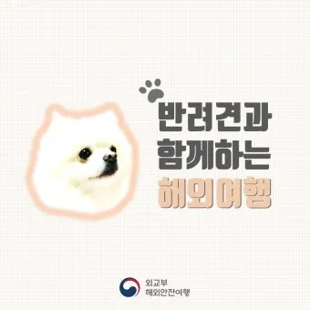 반려동물과 해외여행 기내 직항 펫 전용 준비와 절차_24