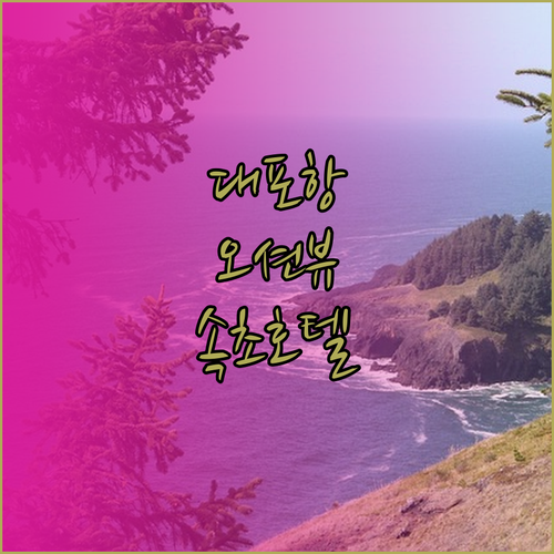 대포항 뷰 맛집! 속초 호텔 BEST