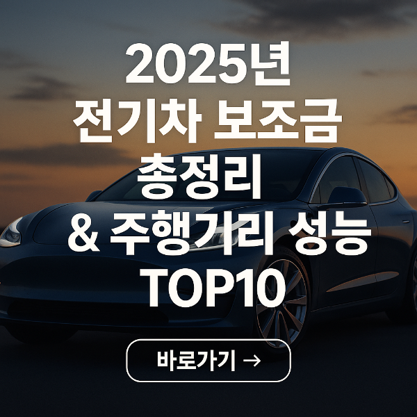 2025 전기차 보조금 총종리 &amp; 주행거리 성능 TOP 10