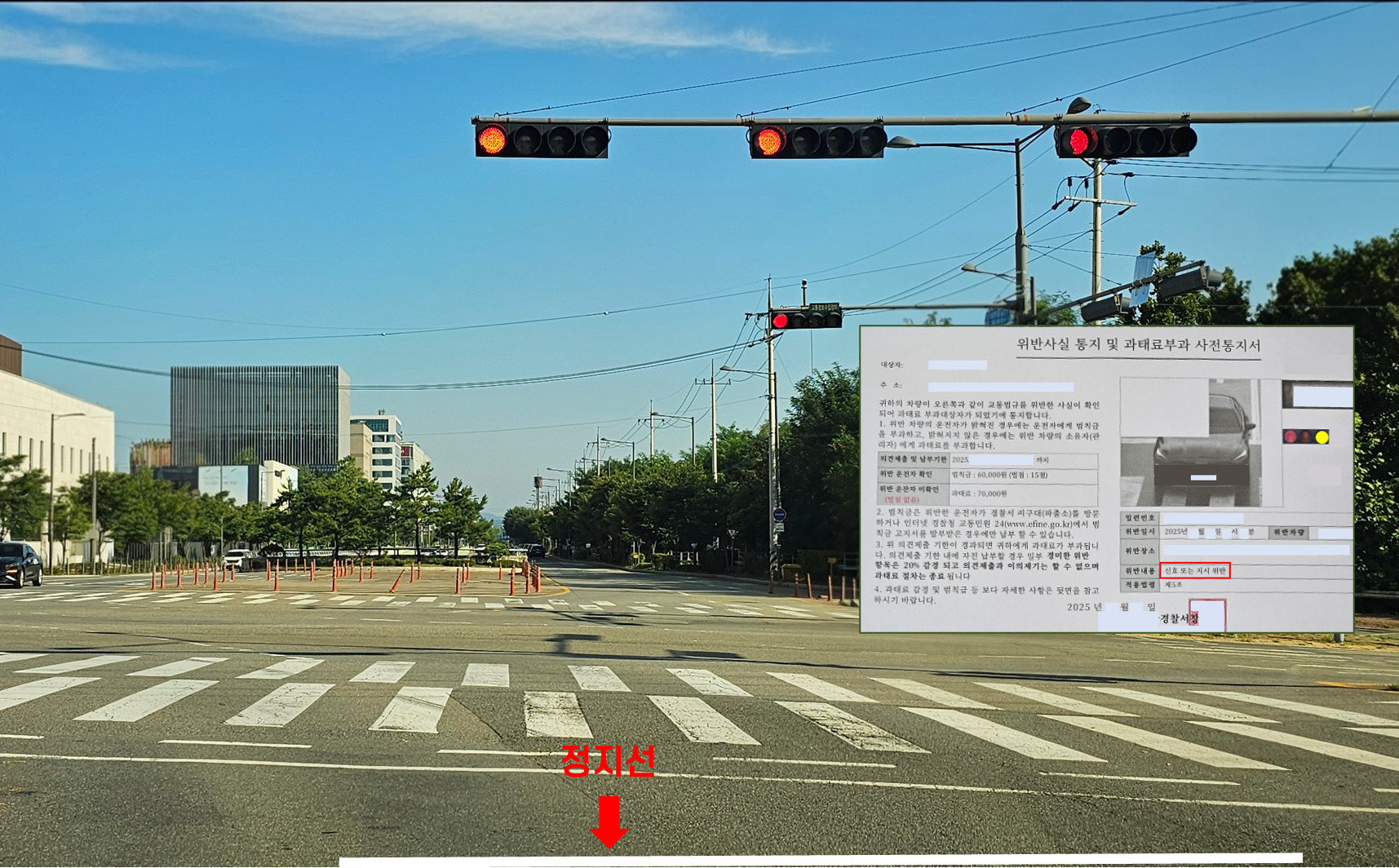 신호위반 과태료 통지서