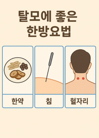 탈모에 좋은 한방요법