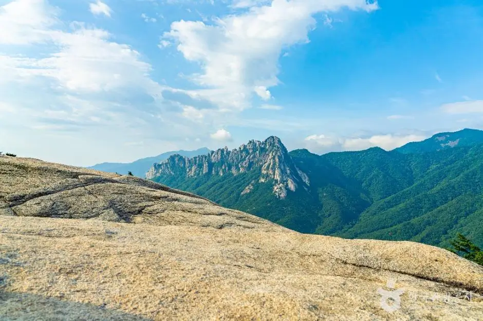 dd38035a-d023-45c1-820a-0deb2143e756