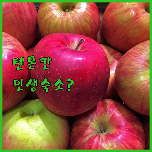 가고시마 여행 텐몬칸 숙소 추천 신축..