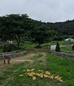 영농조합법인제이러브팜