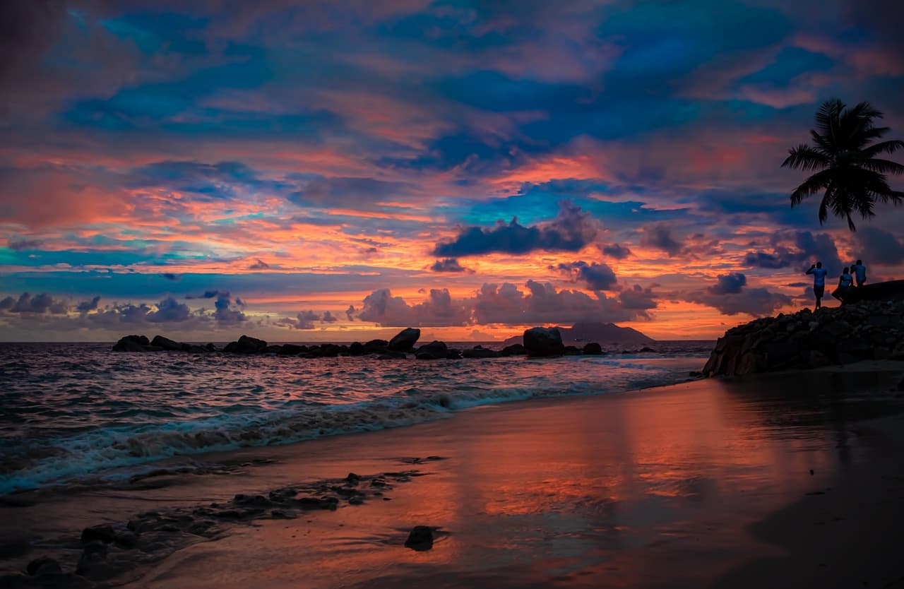 자연의 소리로 마음을 다스리다: 음악 치료가 정신 건강에 미치는 과학적 효과