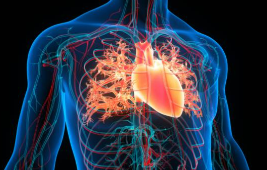 심혈관질환원인증상