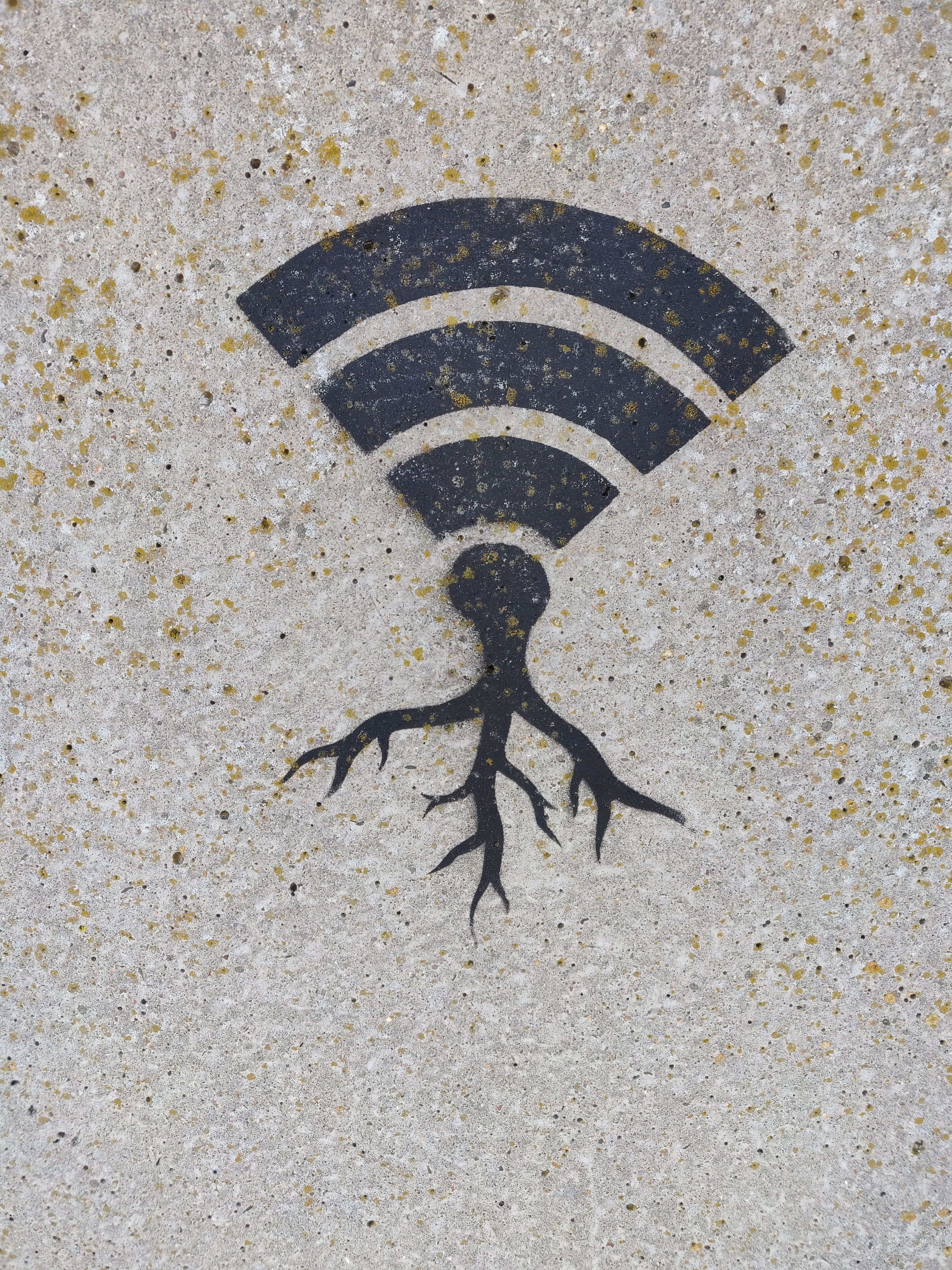 검은 Wi-Fi 그림 아래로 뿌리가 자라고 있는 것이 Wi-Fi에 악성 바이러스가 자라나는 것 같은 모양을 하고 있다.