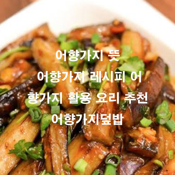어향가지 뜻 어향가지 레시피 어향가지 활용 요리 추천 어향가지덮밥