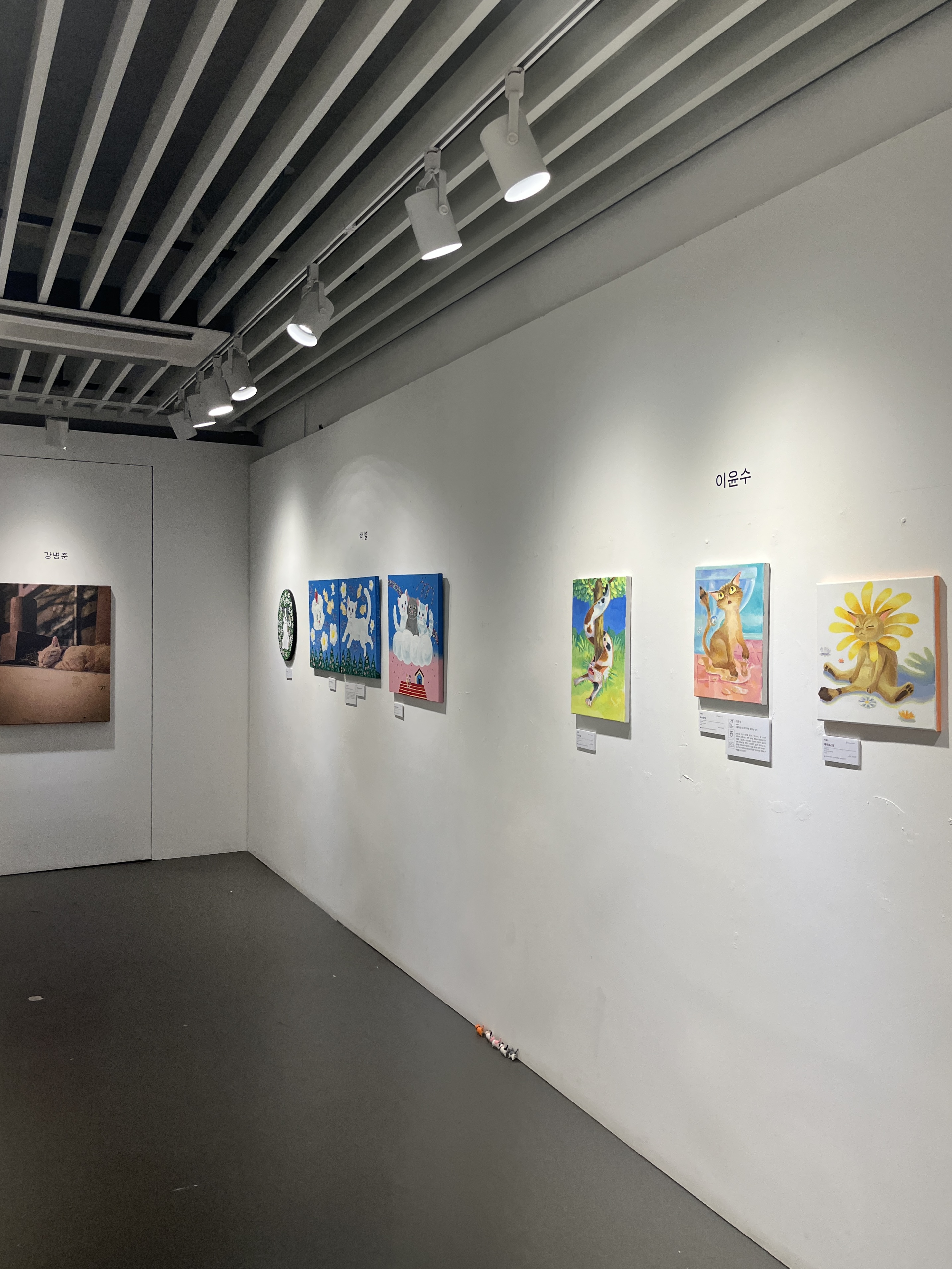 마음이 고양고양