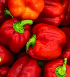 파프리카 효능 부작용 고르는법 칼로리