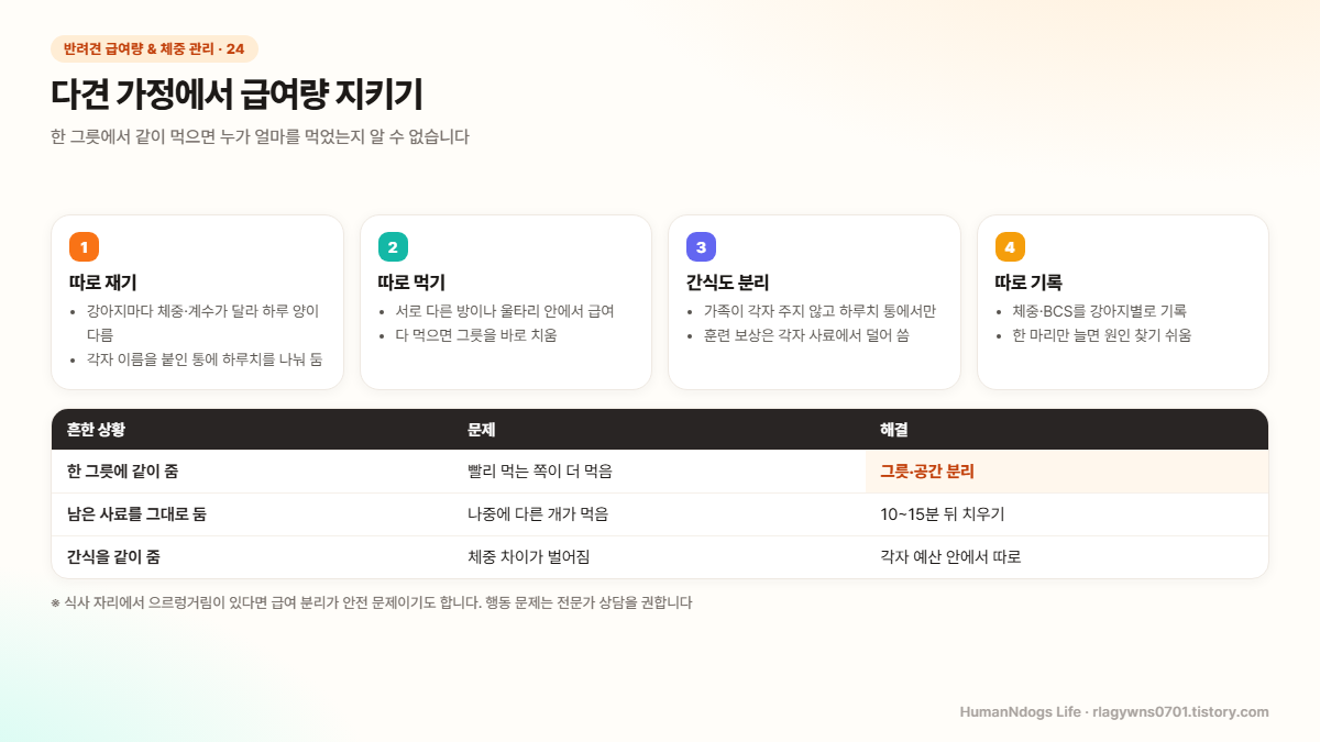 다견 가정 급여 관리 도식 — 양·자리·간식·기록을 강아지별로 분리하기