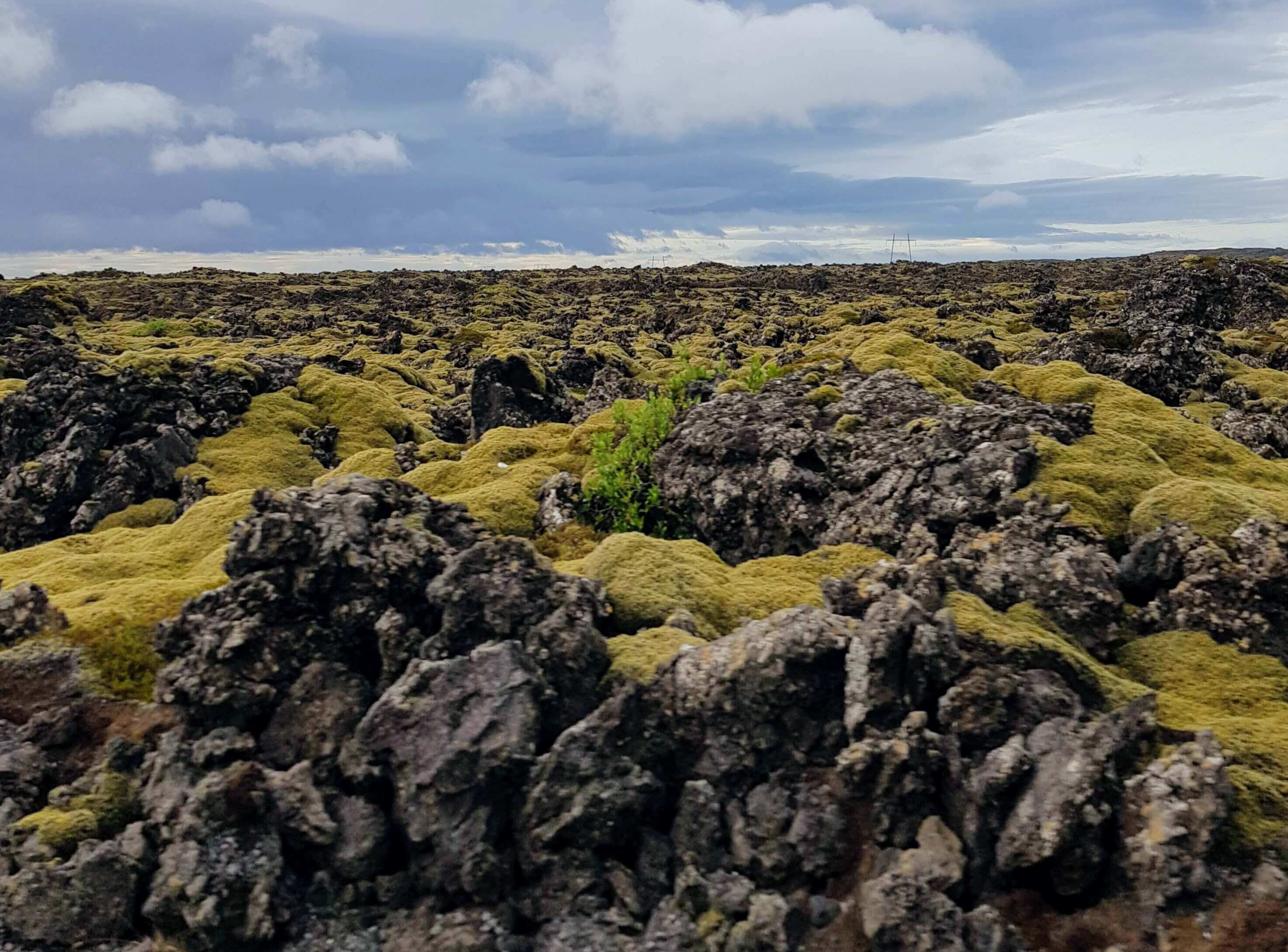 아이슬란드 여행 총정리 가이드 ❘ 항공권, 오로라, 블루라군, 링로드 완벽 정리