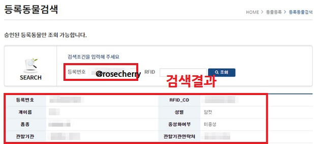 동물등록제-등록번호로-동물검색한결과-화면