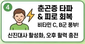 돌나물 효능