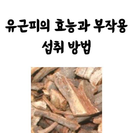유근피의 효능과 부작용 및 섭취 방법
