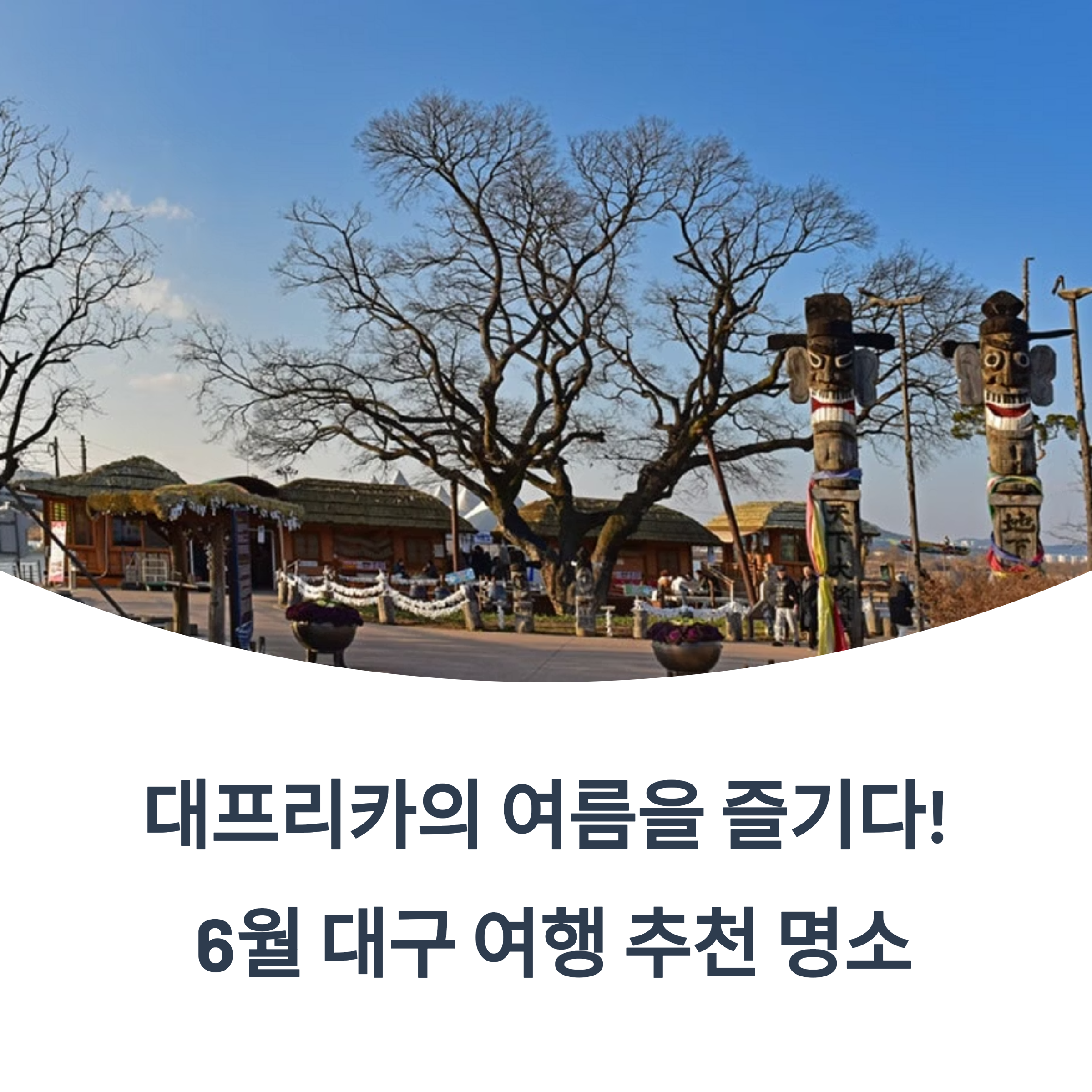대프리카의 여름을 즐기다! 6월 대구 여행 추천 명소