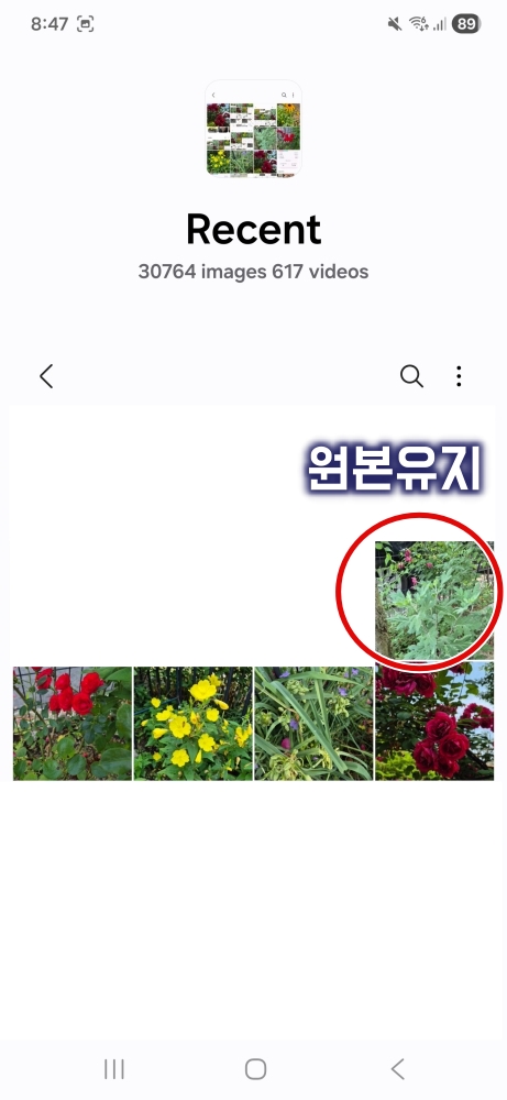 드롭박스 PC 사진 삭제 원본