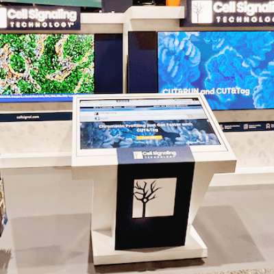 AACR 관련주 대장주 테마주 수혜주 TOP5