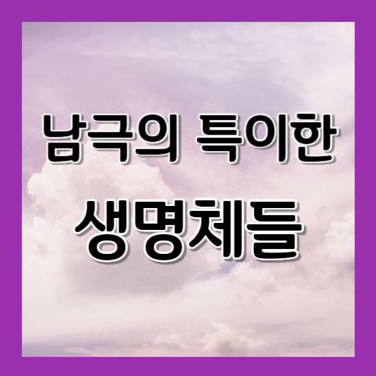 남극의 특이한 생명들