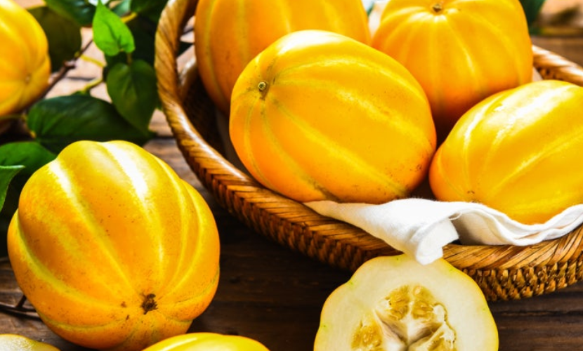 참외-효능-부작용-하루-섭취량-관련-사진